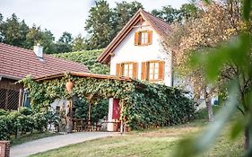 WIENER Kellerstöckl - Das 13er